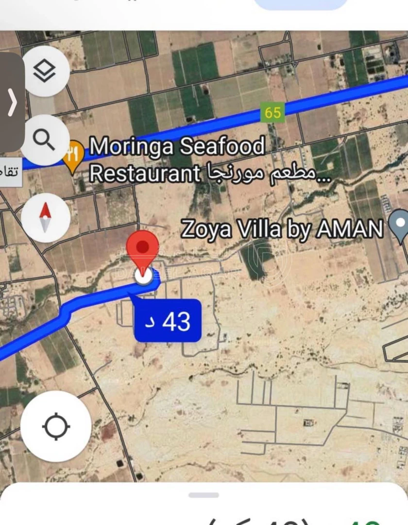 أرض في دنم ارض غور الرامه بسعر مميز  - 70,000 دأ - صورة 1