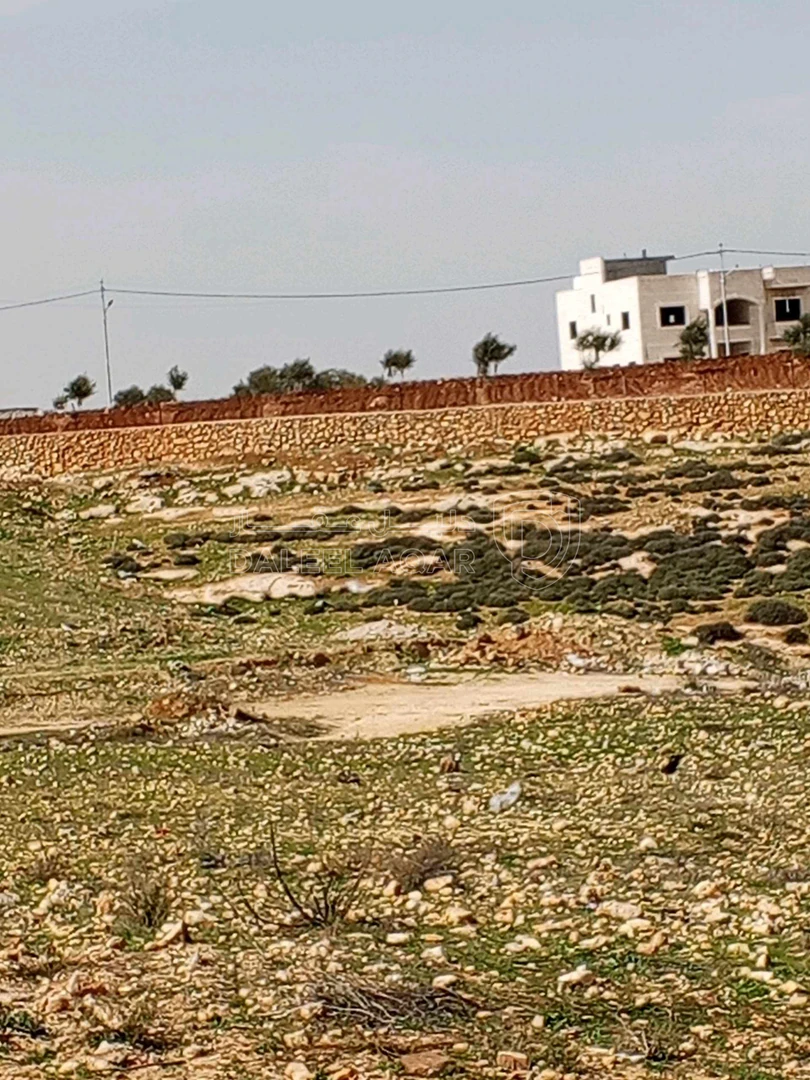 أرض في 8دونمات سكن ب على 3شوارع العال والروضة حوض المصدار - 200,000 دأ - صورة 1