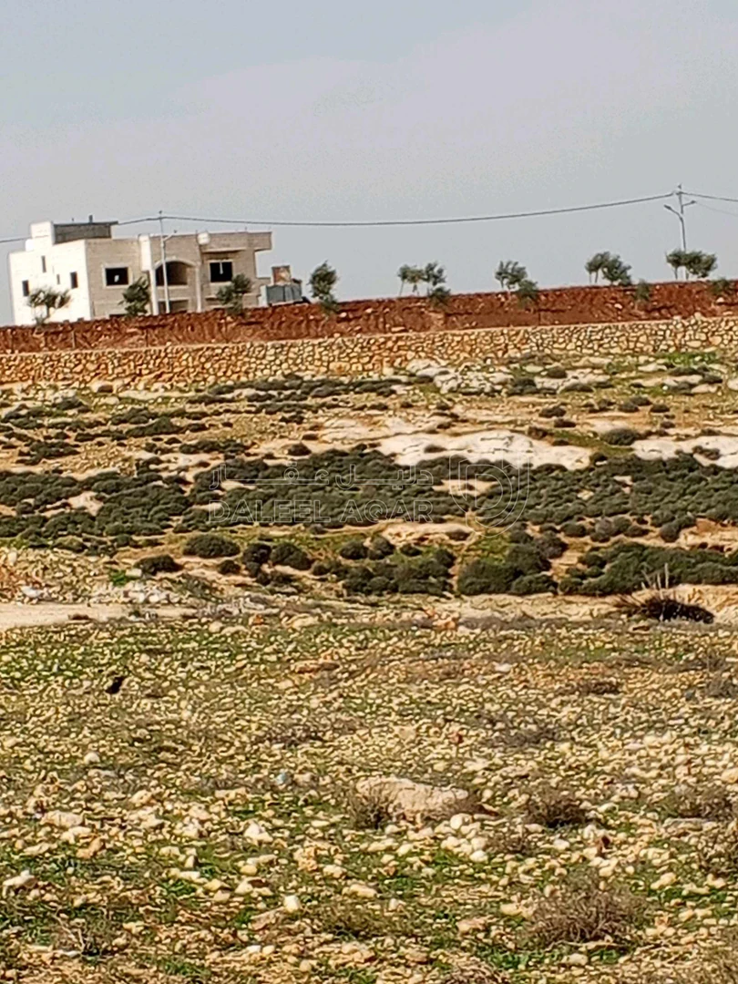 أرض في 8دونمات سكن ب على 3شوارع العال والروضة حوض المصدار - 200,000 دأ - صورة 1