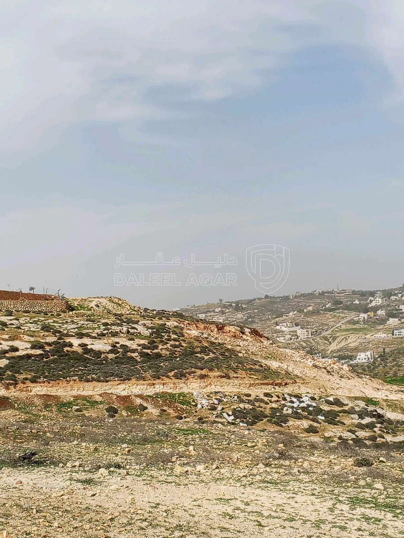 أرض في 8دونمات سكن ب على 3شوارع العال والروضة حوض المصدار - 200,000 دأ - صورة 1