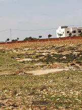 أرض في 8دونمات سكن ب على 3شوارع العال والروضة حوض المصدار - 200,000 دأ - صورة NaN