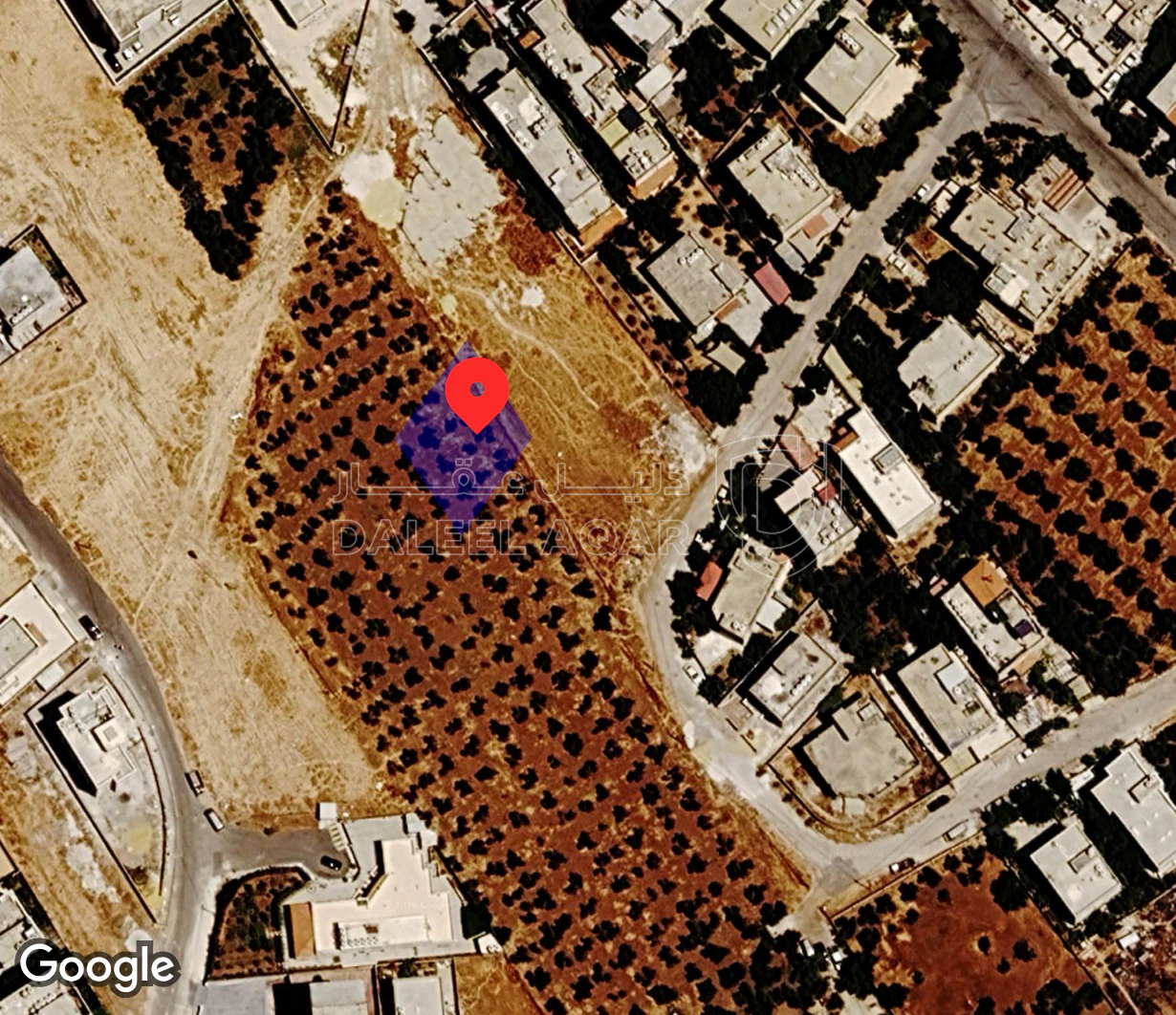 أرض في عمان جاوا  - 52,000 دأ - صورة 6