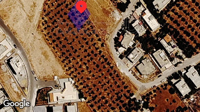 أرض في عمان جاوا  - 52,000 دأ - صورة NaN