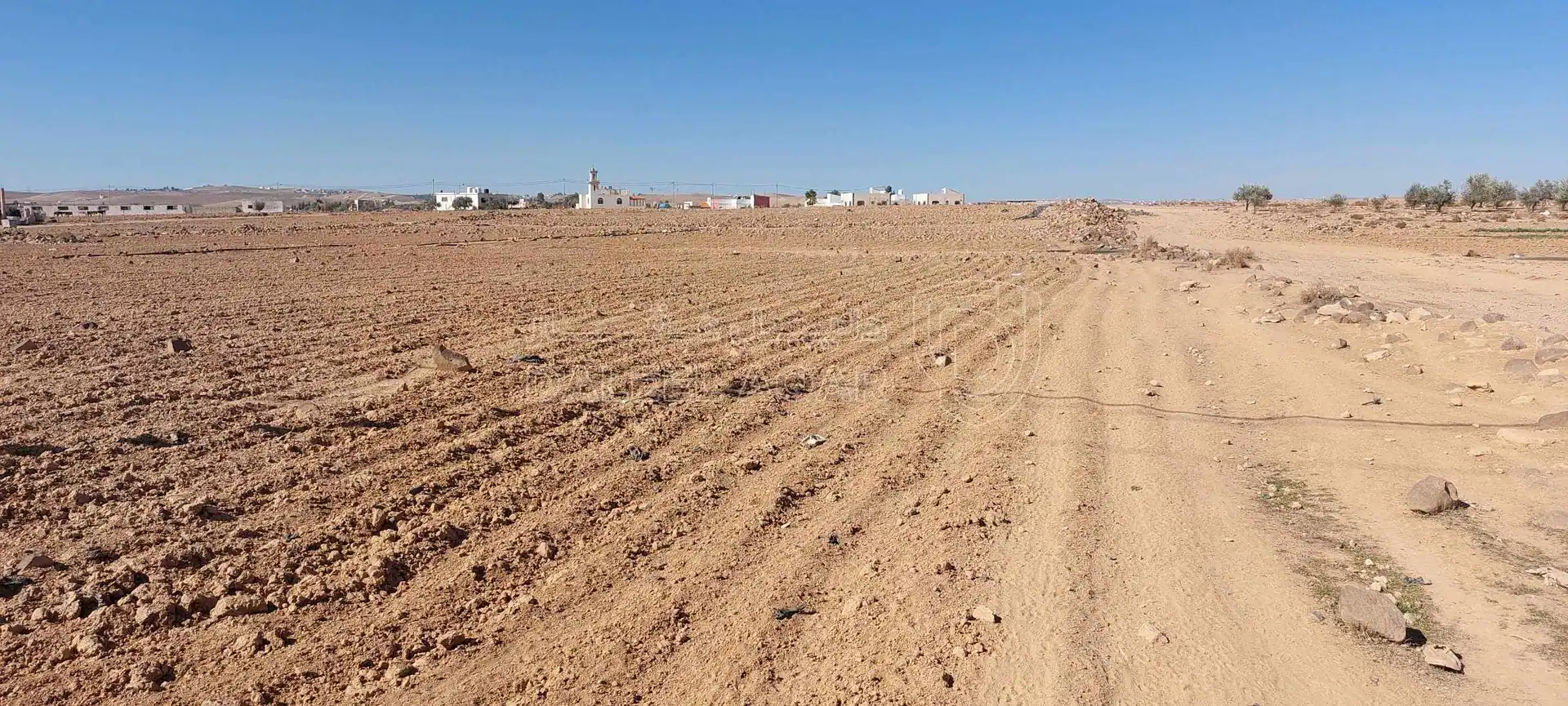 أرض في ارض للبيع منطقة الخربة السمراء من المالك مباشرة  - 65,000 دأ - صورة 1