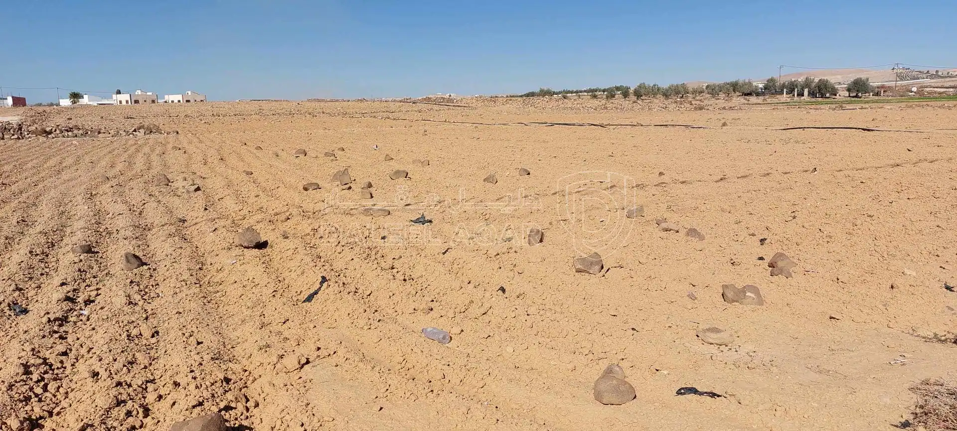 أرض في ارض للبيع منطقة الخربة السمراء من المالك مباشرة  - 65,000 دأ - صورة 1