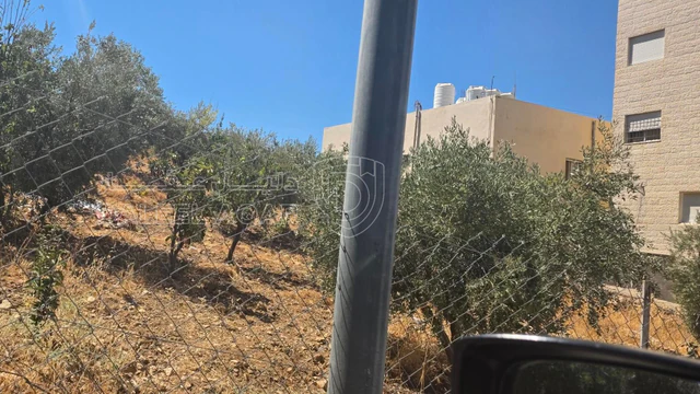 أرض في ماحص الميدان الجنوبي قرب جامع الجالودي - 150,000 دأ - صورة NaN