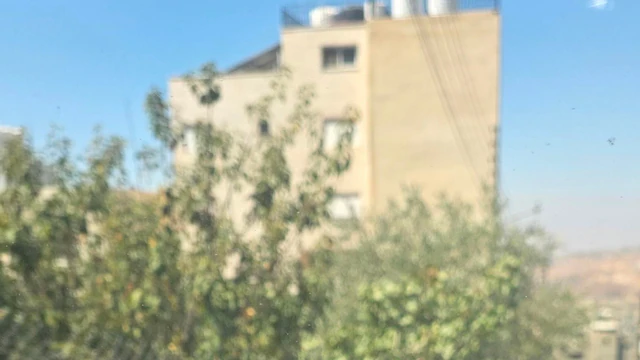 أرض في ماحص الميدان الجنوبي قرب جامع الجالودي - 150,000 دأ - صورة NaN
