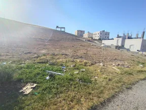 أرض في الزرقاء جريبا حي الاحمد - 13,000 دأ - صورة NaN