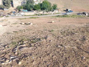 أرض في الزرقاء جريبا حي الاحمد - 13,000 دأ - صورة NaN