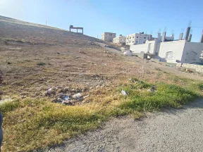 أرض في الزرقاء جريبا حي الاحمد - 13,000 دأ - صورة NaN