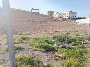 أرض في الزرقاء جريبا حي الاحمد - 13,000 دأ - صورة NaN