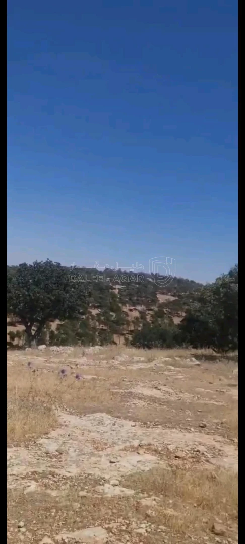 أرض في بيرين داخل منتزه الأمير هاشم  - 105,000 دأ - صورة 1