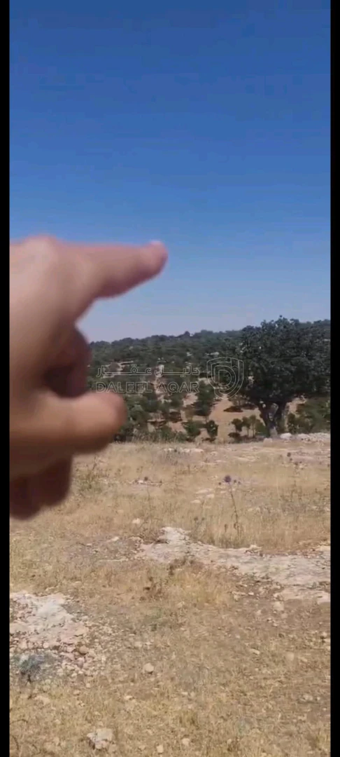 أرض في بيرين داخل منتزه الأمير هاشم  - 105,000 دأ - صورة 1