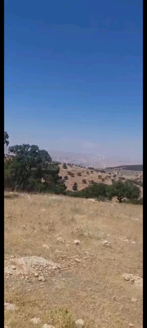 أرض في بيرين داخل منتزه الأمير هاشم  - 105,000 دأ - صورة 1