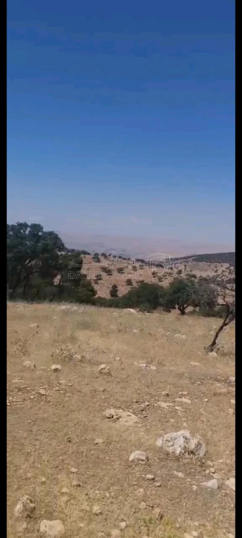 أرض في بيرين داخل منتزه الأمير هاشم  - 105,000 دأ - صورة 1