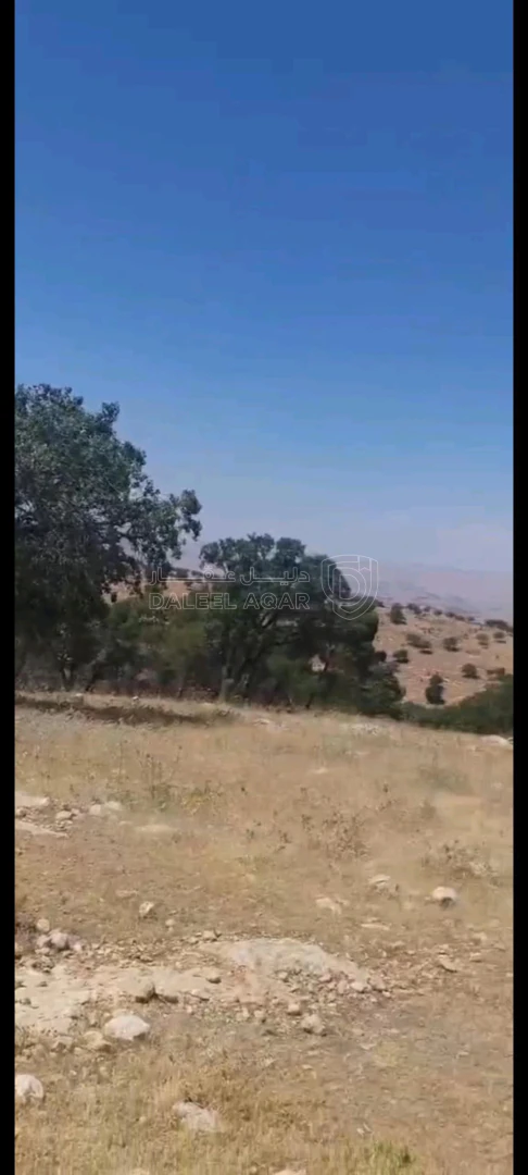 أرض في بيرين داخل منتزه الأمير هاشم  - 105,000 دأ - صورة 1