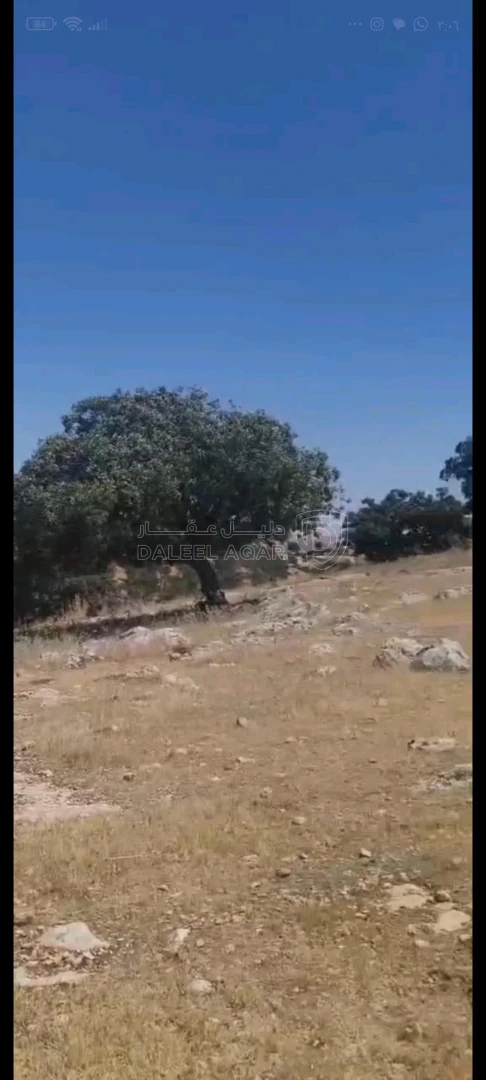 أرض في بيرين داخل منتزه الأمير هاشم  - 105,000 دأ - صورة 1