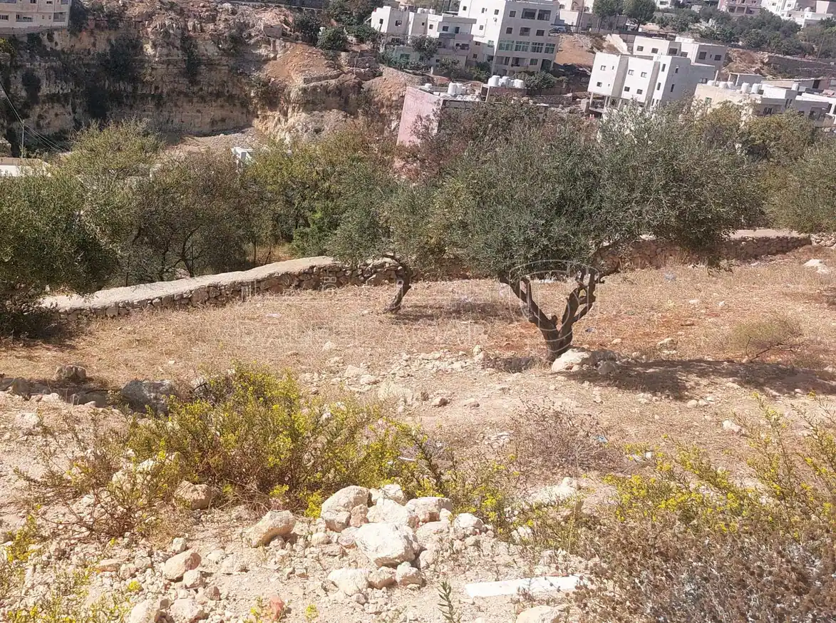 أرض في ارض في السلط الصوانية بالقرب من مدرسة سما الاوئل  - 45,000 دأ - صورة 1