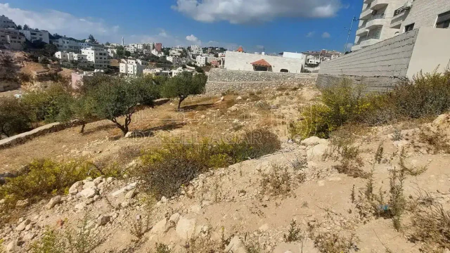 أرض في ارض في السلط الصوانية بالقرب من مدرسة سما الاوئل  - 45,000 دأ - صورة 1