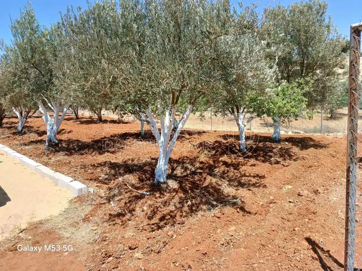 أرض في أرض مساحة 904 م سكنية أ، 350م عن شارع مادبا الغربي - 65,000 دأ - صورة 1