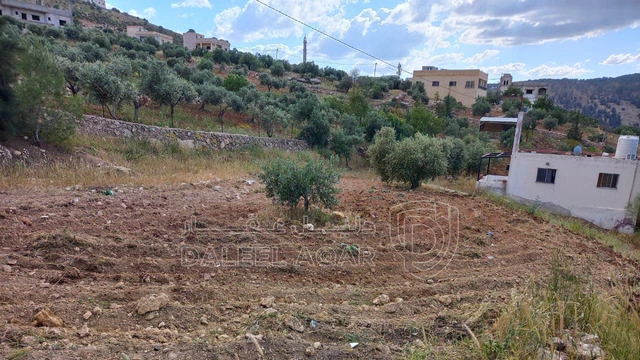 مزرعة/شاليه في بيت ريفي مكون من غرفتين ومطبخ وحمام - 115,000 دأ - صورة NaN