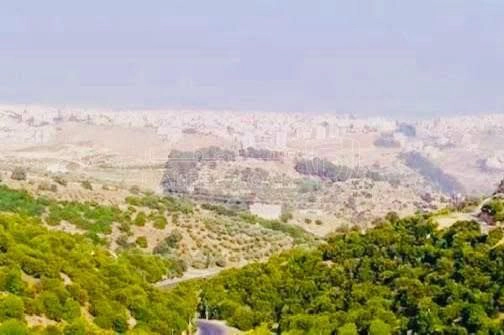 أرض في ارض للبيع في اجمل مناطق بدر الجديدة حوض الحديب - 750,000 دأ - صورة 2