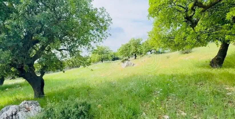 أرض في ارض للبيع في اجمل مناطق بدر الجديدة حوض الحديب - 750,000 دأ - صورة 3