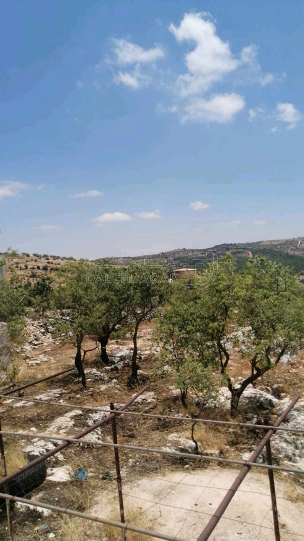 أرض في صخره عجلون - 330,000 دأ - صورة 1