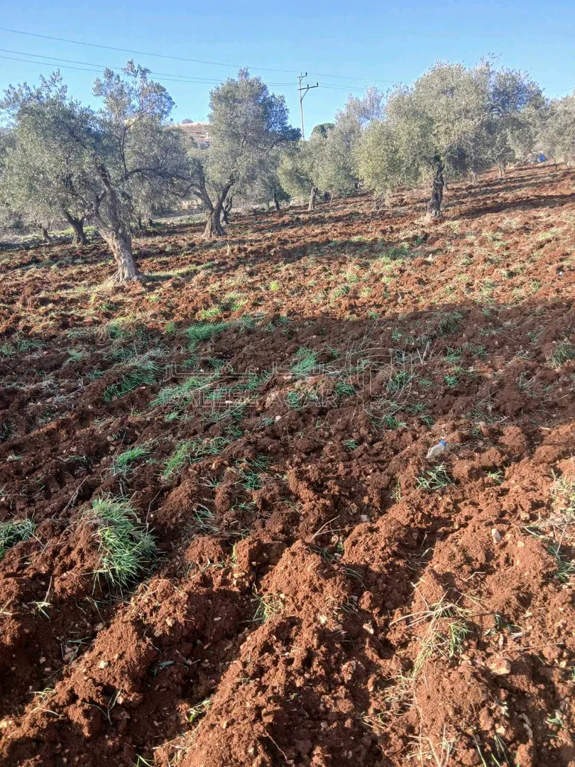 أرض في صخره عجلون - 330,000 دأ - صورة 1