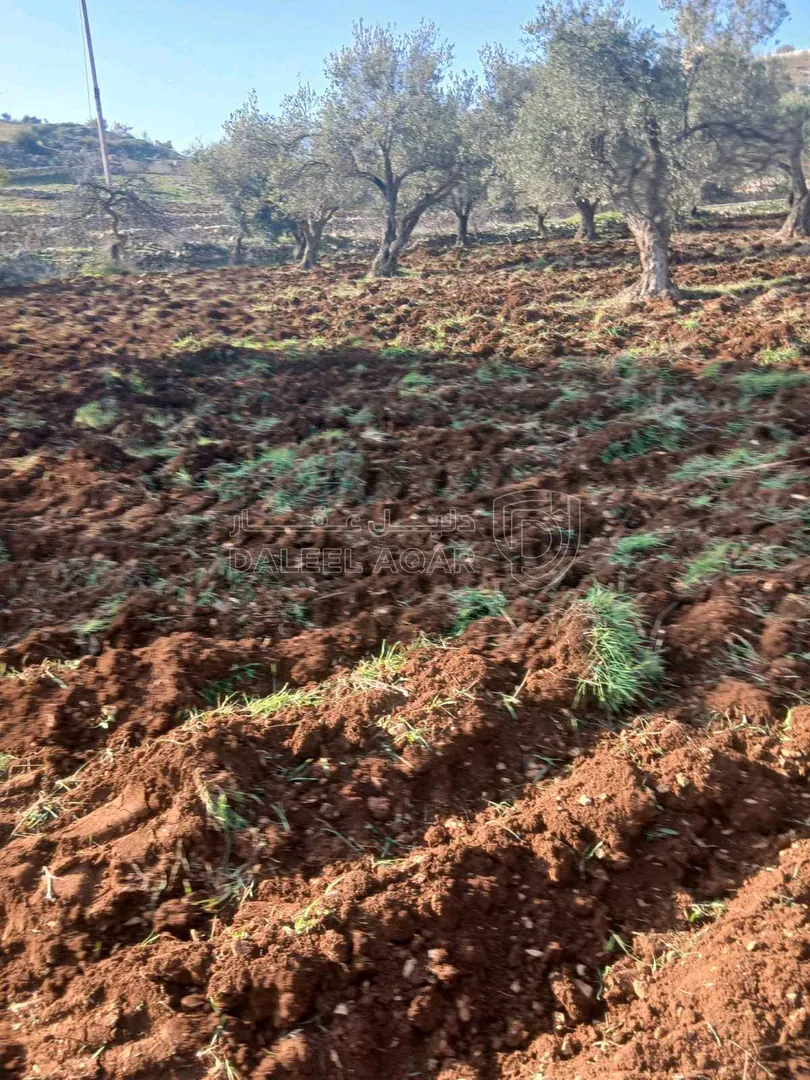 أرض في صخره عجلون - 330,000 دأ - صورة 1