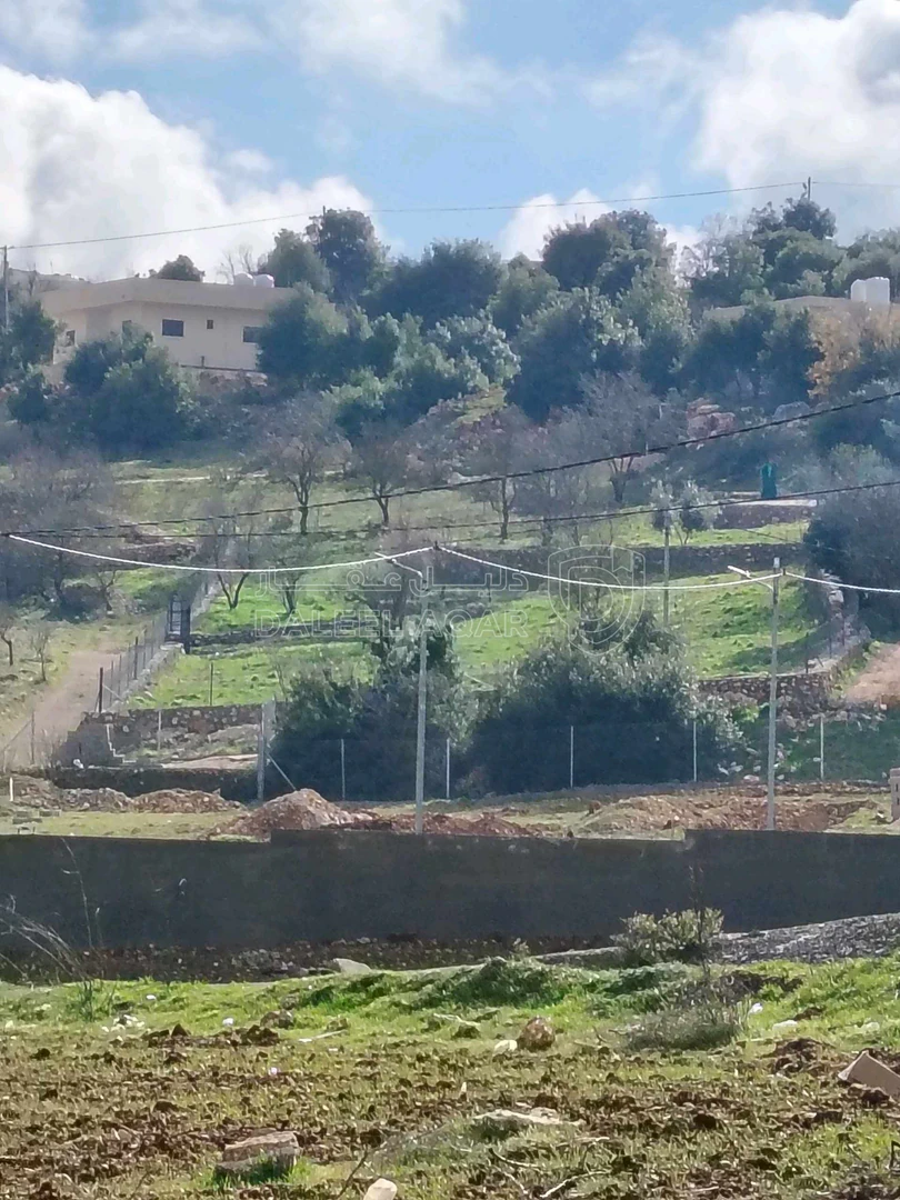أرض في عجلون عبين - 80,000 دأ - صورة 1