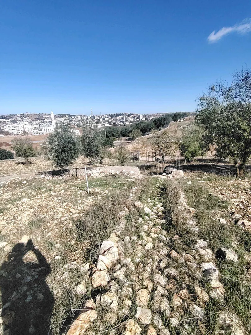 أرض في عجلون عبين - 80,000 دأ - صورة 1