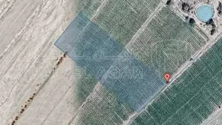 أرض في ارض للبيع غور عسال بجانب كازيه العوضي  - 52,500 دأ - صورة 1