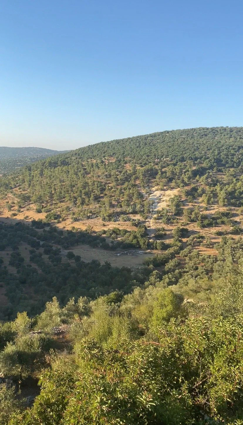أرض في عجلون / اشتفينا  - 60,000 دأ - صورة 6