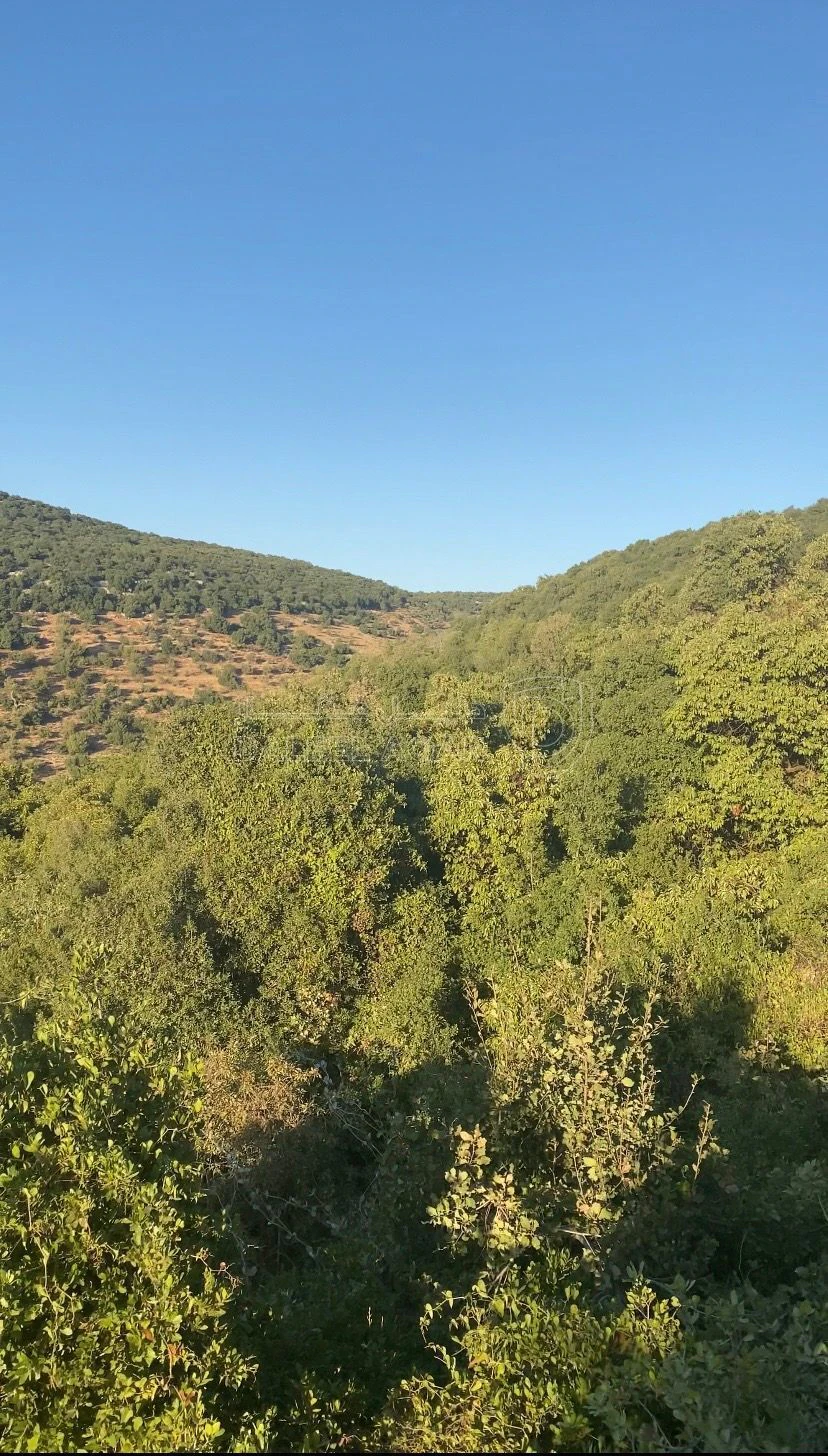 أرض في عجلون / اشتفينا  - 60,000 دأ - صورة 3