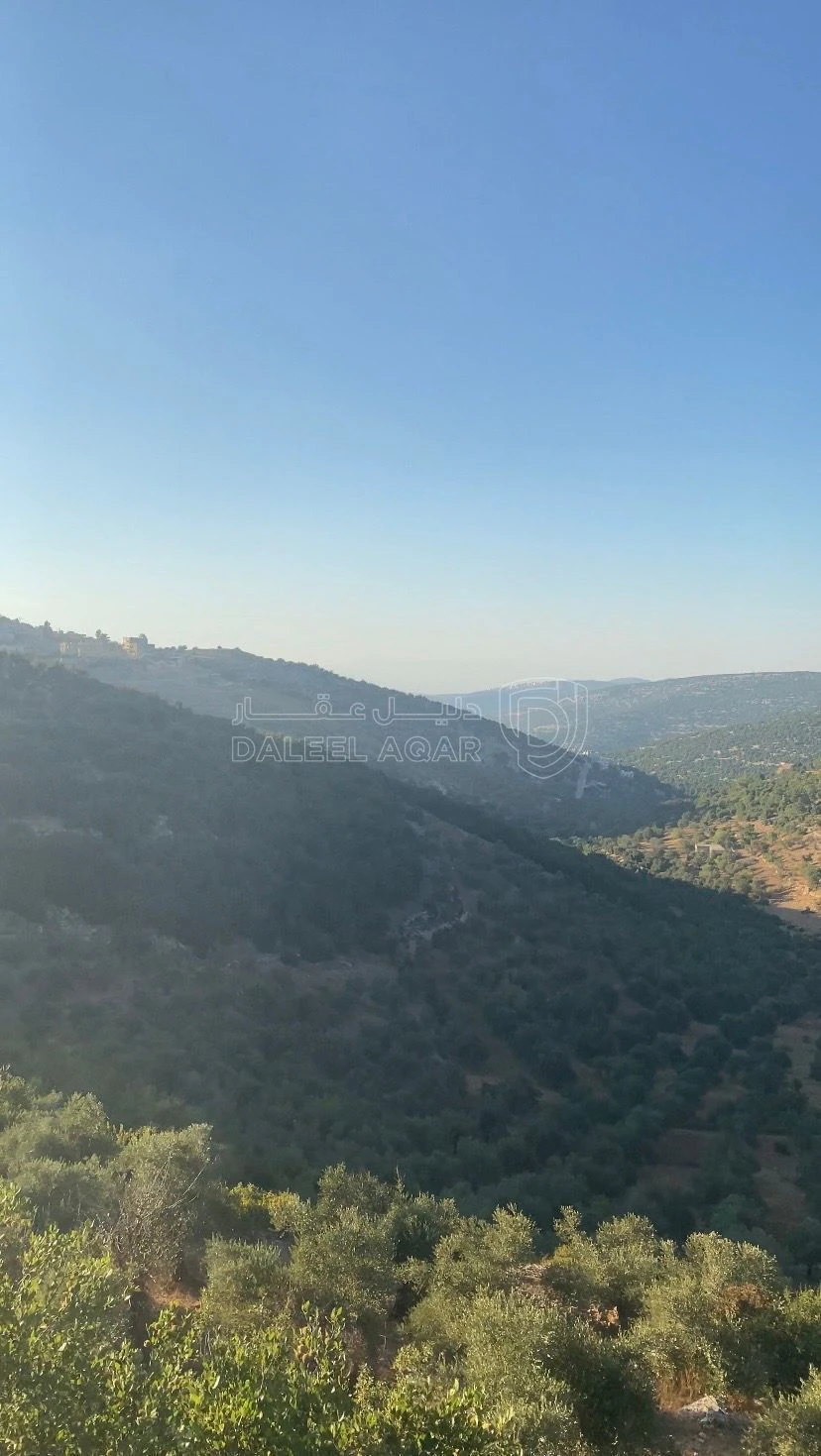 أرض في عجلون / اشتفينا  - 60,000 دأ - صورة 2