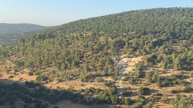 أرض في عجلون / اشتفينا  - 60,000 دأ - صورة NaN