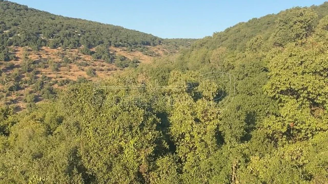 أرض في عجلون / اشتفينا  - 60,000 دأ - صورة NaN
