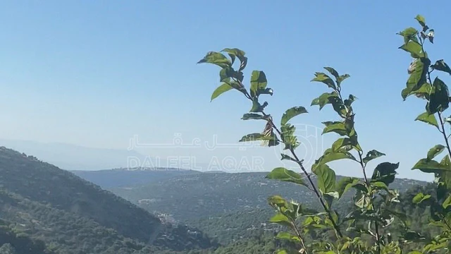 أرض في عجلون / اشتفينا  - 60,000 دأ - صورة NaN