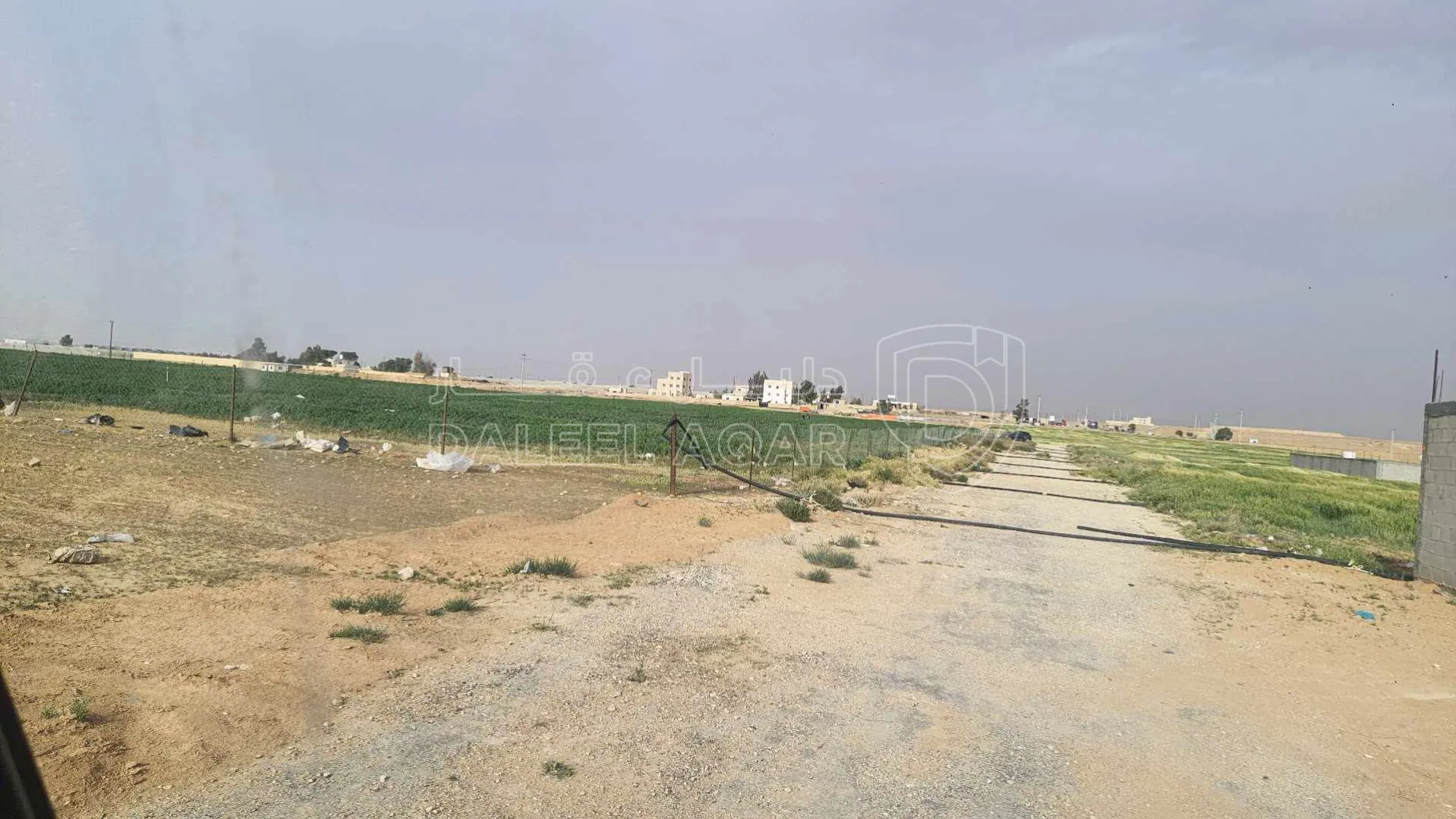 أرض في عمان الجيزة حوض الحجرة نهاية شارع النخيل  - 35,000 دأ - صورة 1