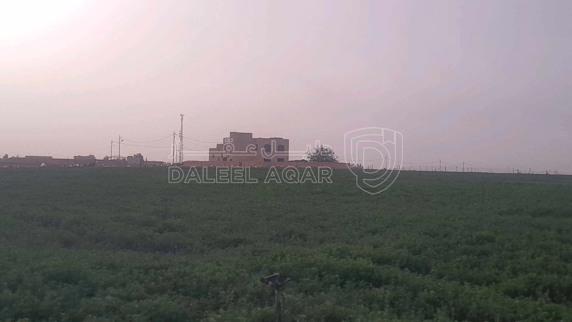 أرض في عمان الجيزة حوض الحجرة نهاية شارع النخيل  - 35,000 دأ - صورة 1
