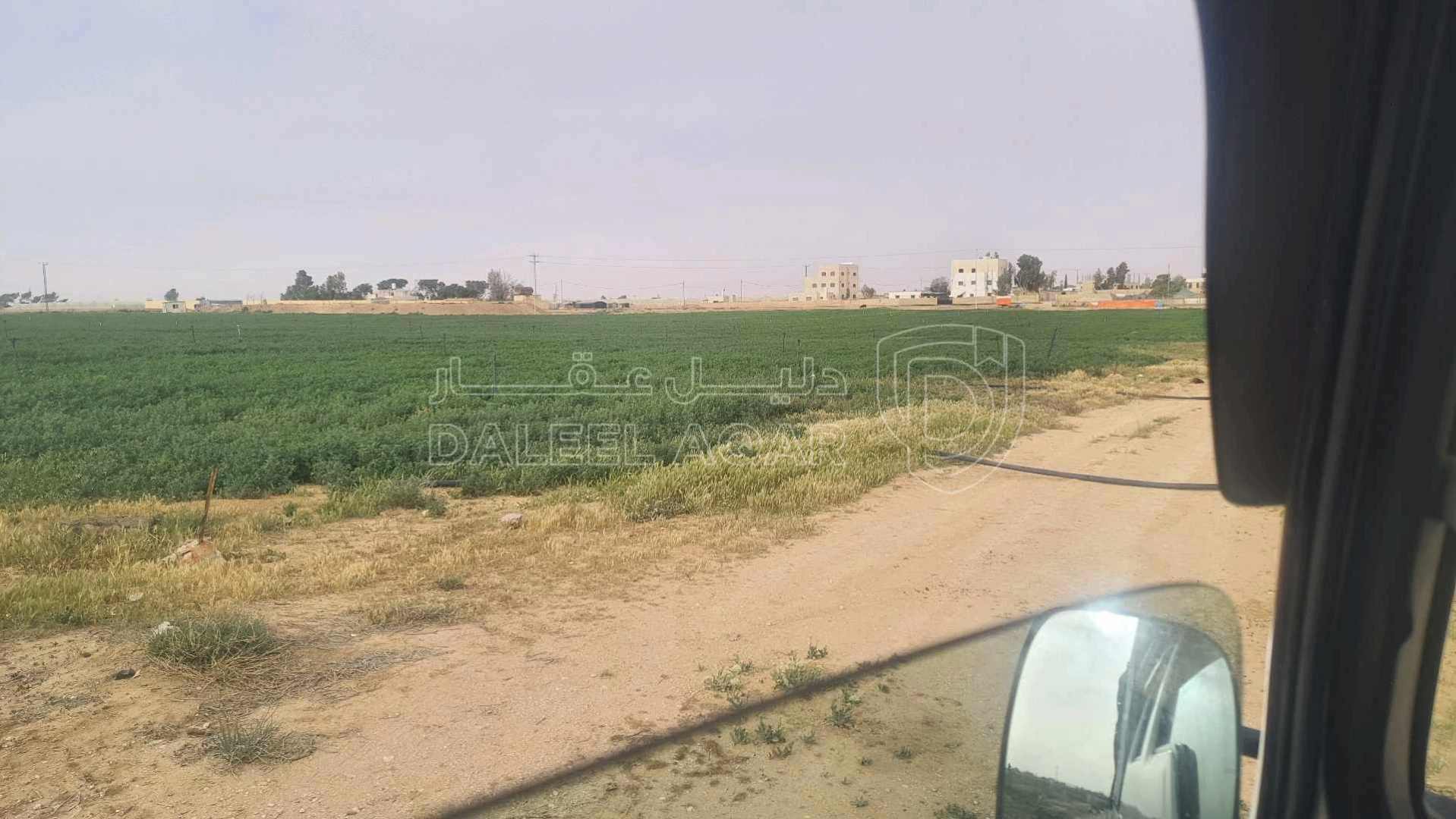 أرض في عمان الجيزة حوض الحجرة نهاية شارع النخيل  - 35,000 دأ - صورة 1