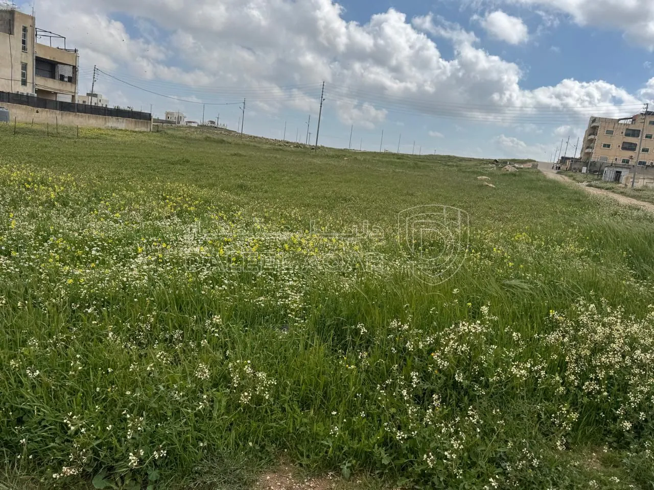 أرض في اللبن حوض ابو دبوس شارعين  - 30,000 دأ - صورة 3