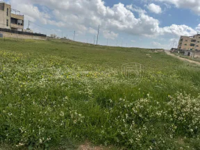 أرض في اللبن حوض ابو دبوس شارعين  - 30,000 دأ - صورة NaN