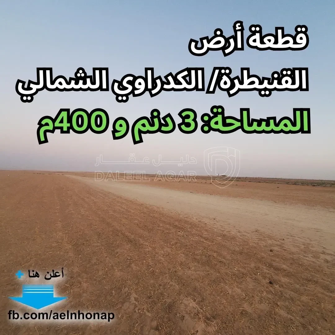 أرض في القنيطرة - تبعد 10كم عن الطريق الصحراوي - 16,000 دأ - صورة 1