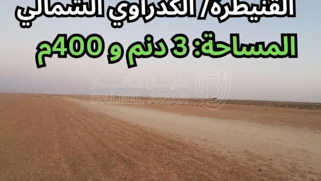 أرض - القنيطرة - تبعد 10كم عن الطريق الصحراوي - 16000 دأ