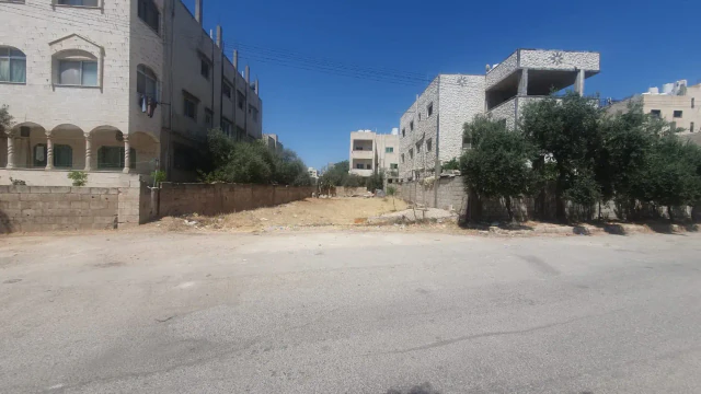 أرض - أرض في جاوا مساحة ٣٦٠ حوشان مشترك  - 35000 دأ