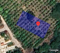 أرض في الشحنة الجنوبية، غور نمرين - 50,000 دأ - صورة 1