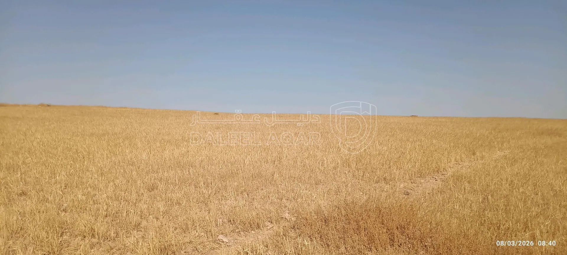 أرض في القسطل حوض الموارس خلف مزرعة بيسان - 60,000 دأ - صورة 1