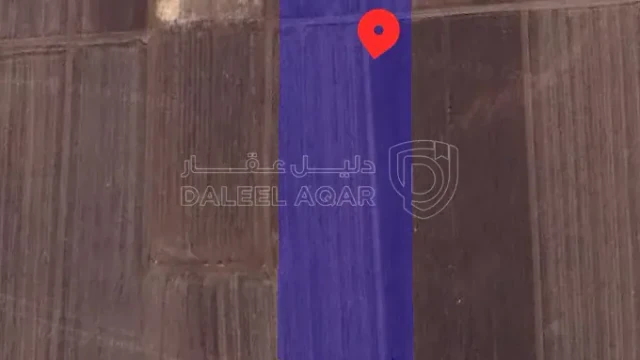 أرض في اربد الصريح - 40,000 دأ - صورة 1